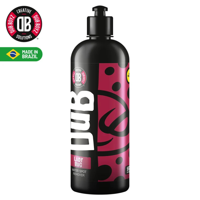 Lady Bug Removedor De Chuva Acida 500Ml - Dubboyz